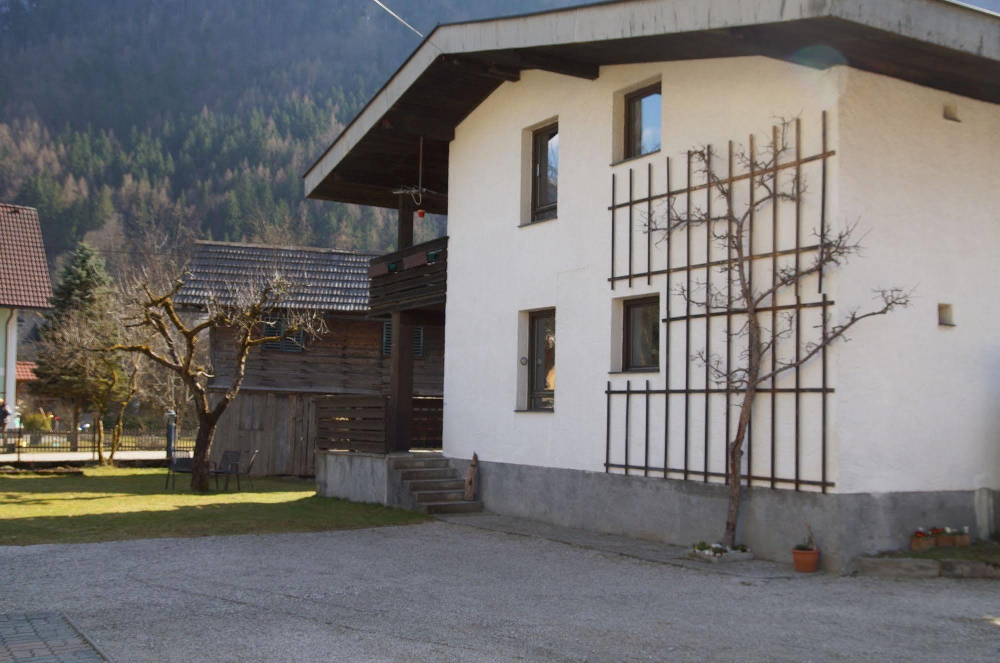 W & S Executive Apartments - Hallstatt I Exterior foto