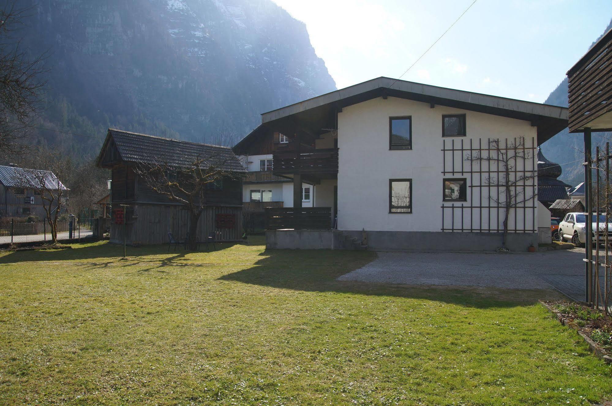 W & S Executive Apartments - Hallstatt I Exterior foto